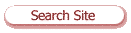 Site Search